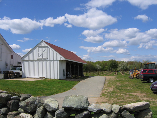 back barn from under tree