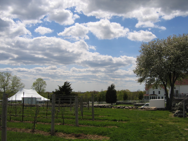 center of ceremony looking back towards buildings