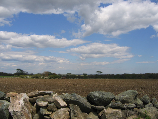 field over stone wall at ceremony spot