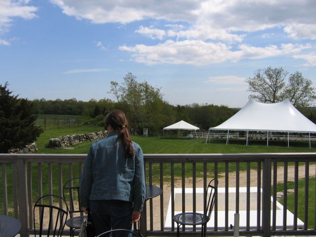 view from back deck to reception area and fence gap